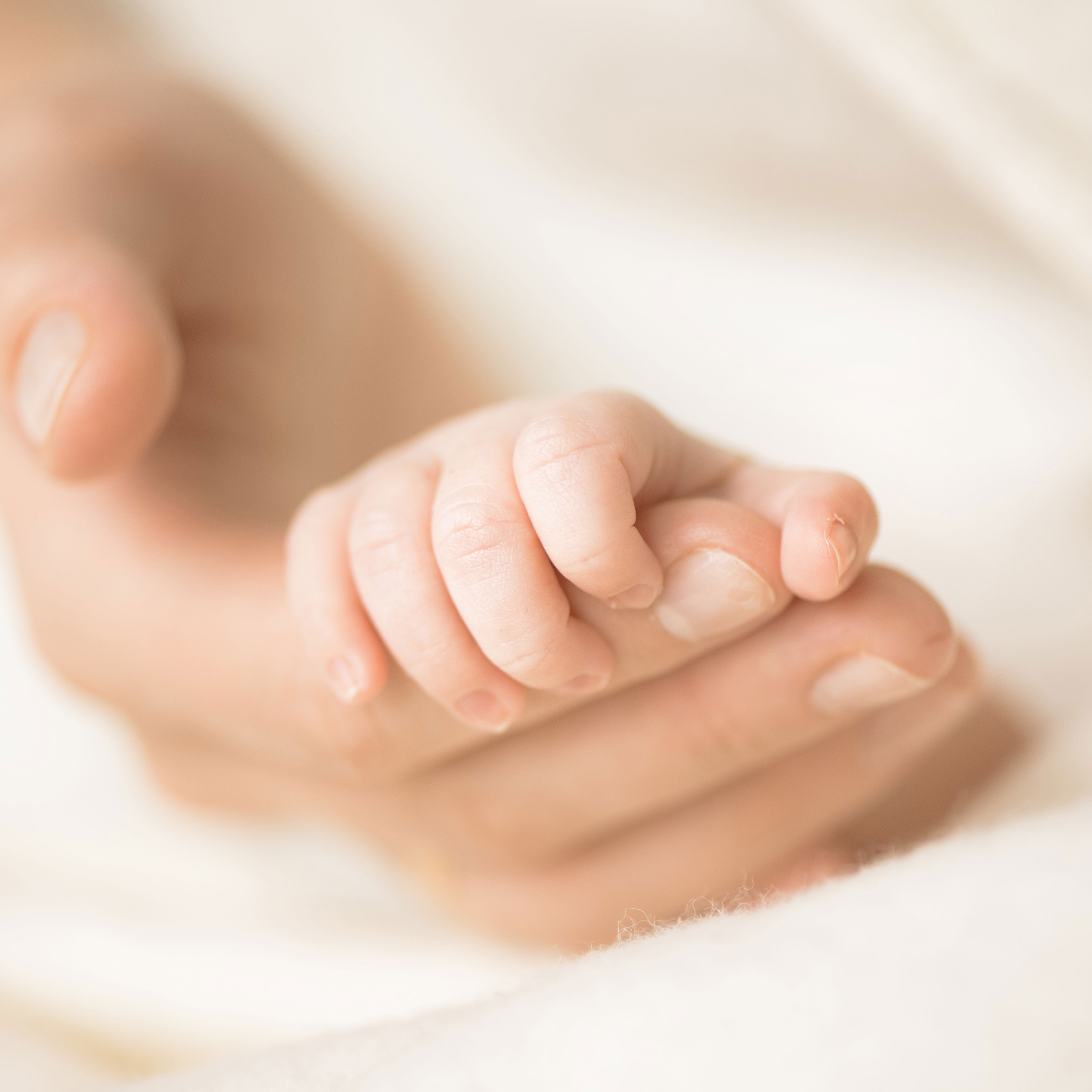 AdobeStock_203352067 AdobeStock_203352067